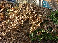 Grünabfall Oldenburg