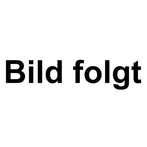 Erster Hydraulikbagger - Bild folgt